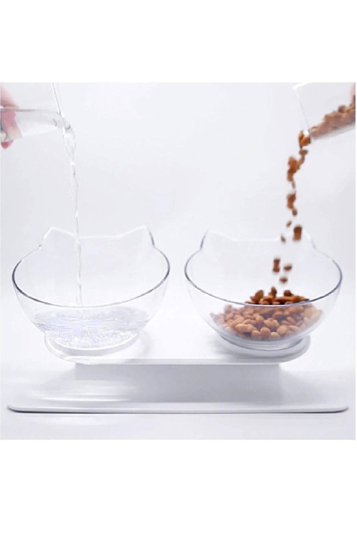 Sloped transparent cat feeding bowl set