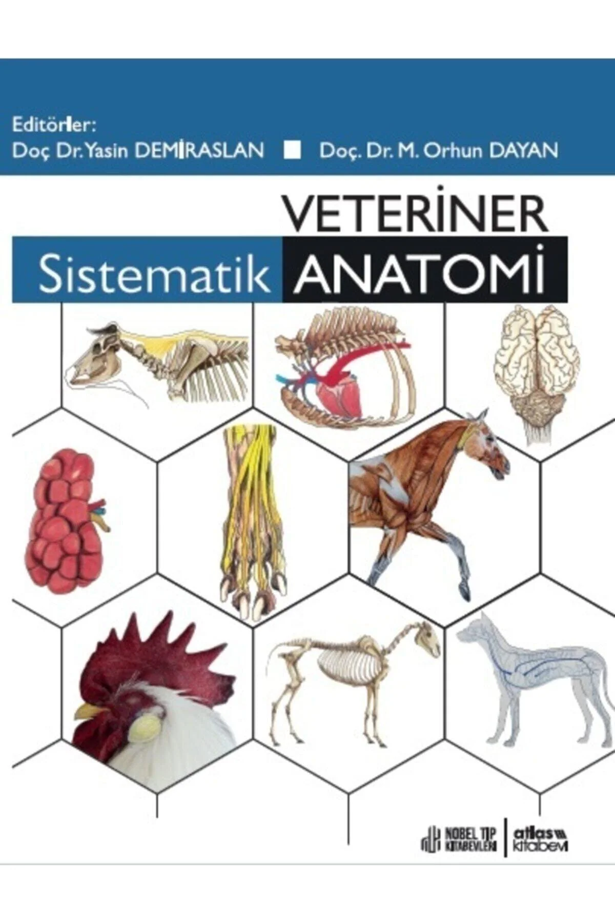 Systematic Veterinary Anatomy Textbook (3rd Edition)