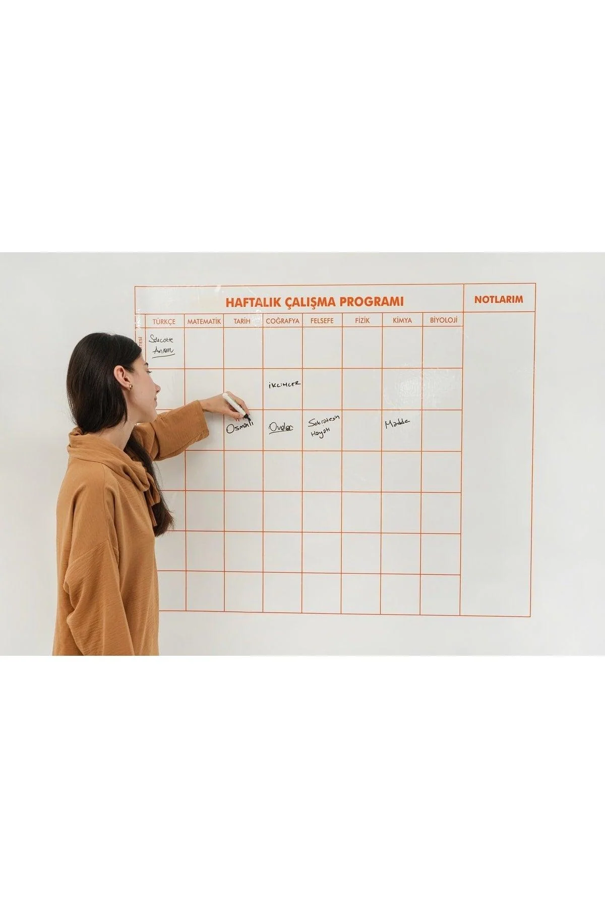 Magnetic weekly study schedule for grades 9-12